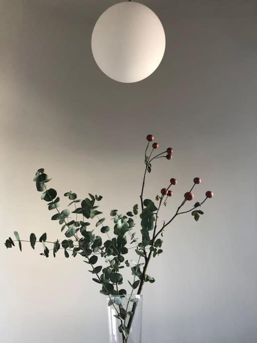 Big Bright Cozy Studio Apartment In Nolo Near Mm1 Milano Exteriör bild